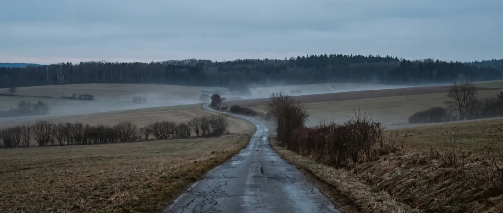 Leere Landstraße im Morgennebel im Saarland — KI-generiert
